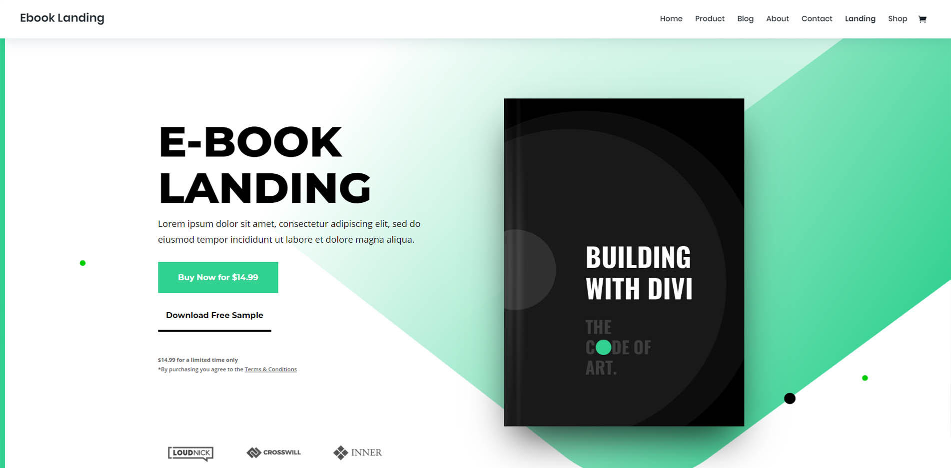 Book Launch Website Design e-Book Landing