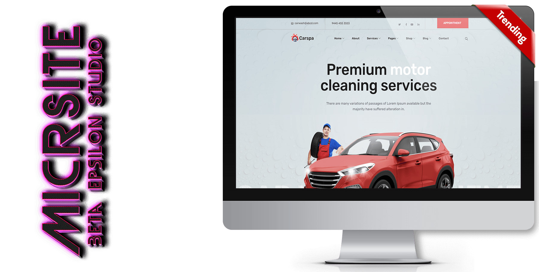 A website design in Automotive Detailing named CarSpa