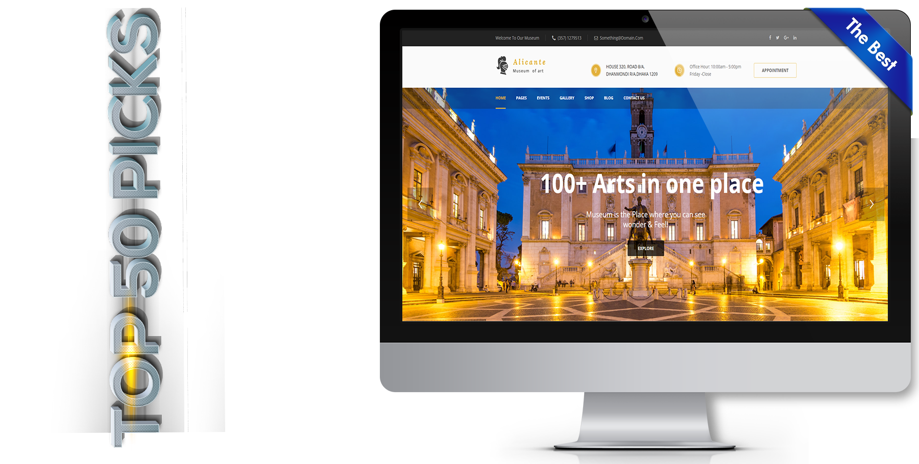 A website design in art named alicante
