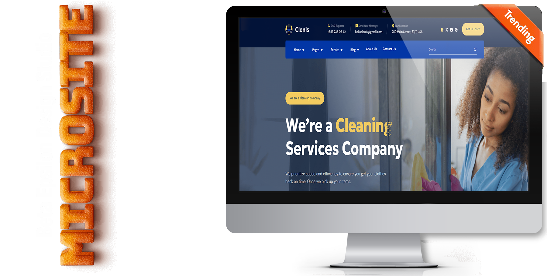 A website design in Cleaning service called clenis