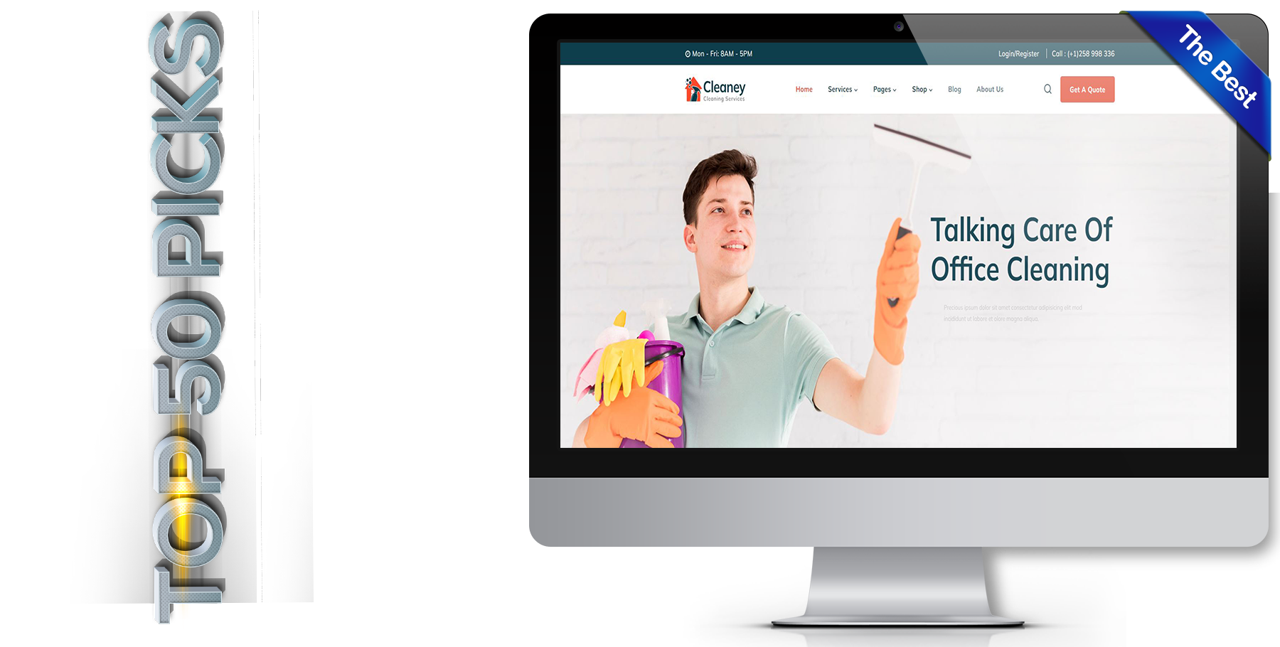 A website design in Cleaning Service called Cleaney