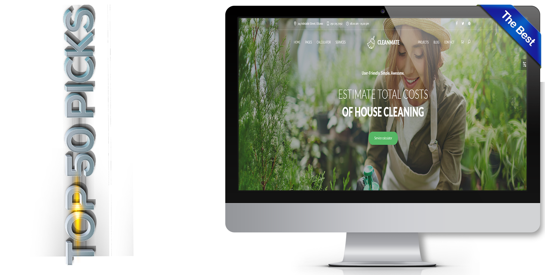A website design in Cleaning Service called Cleanmate