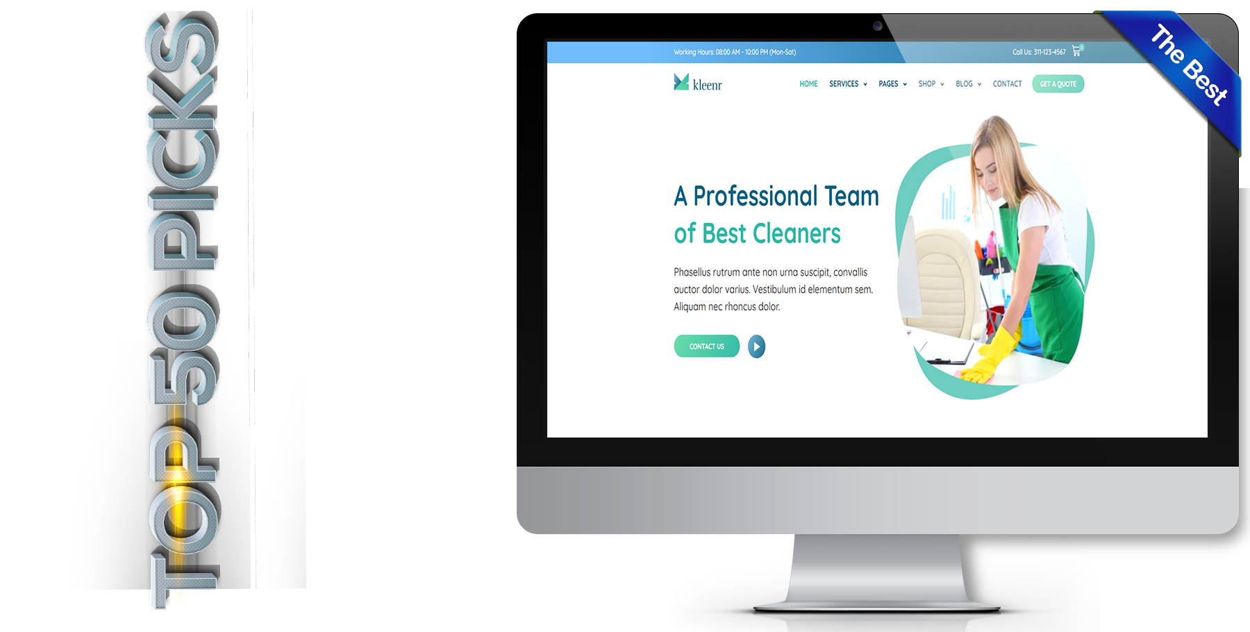 A website design in Cleaning Service called Kleenr