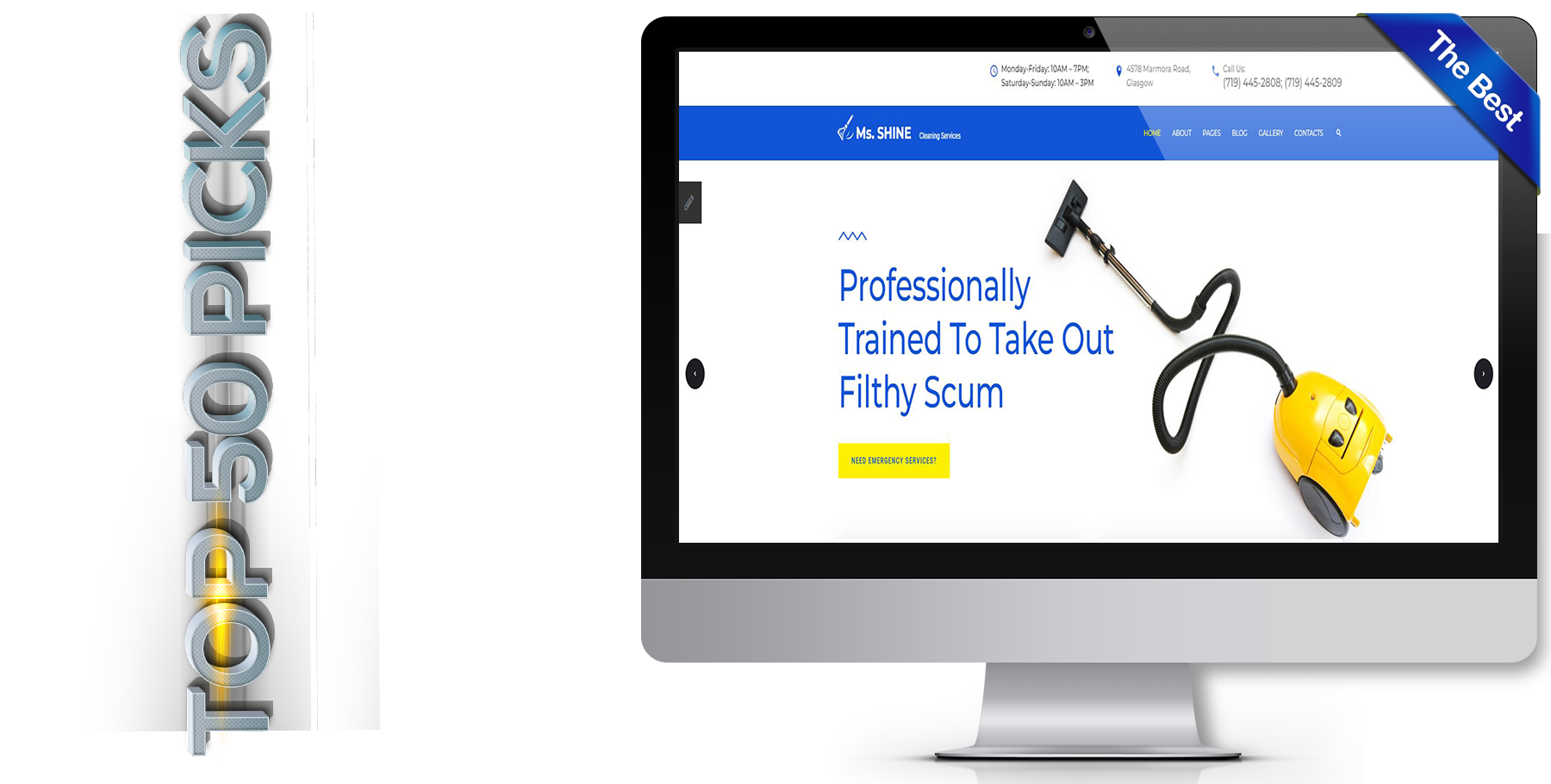 A website design in Cleaning Service called Ms shine