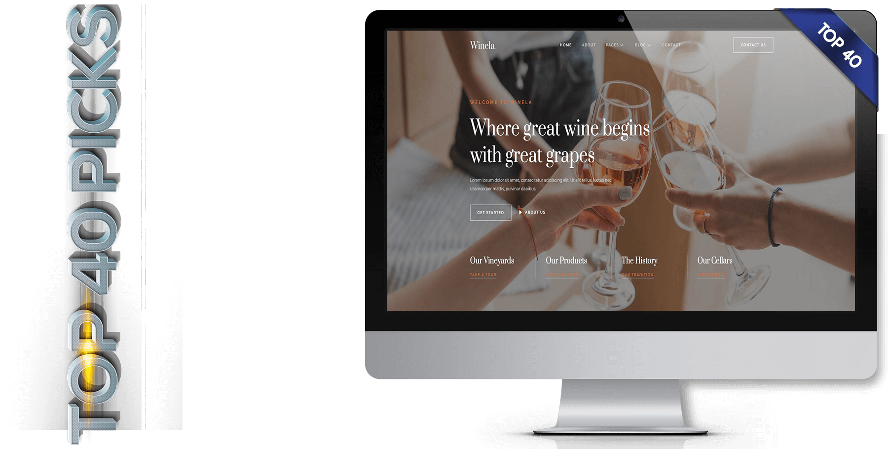 A website design called Winela
