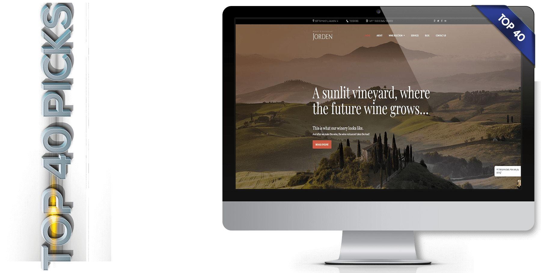 A website design called Jorden