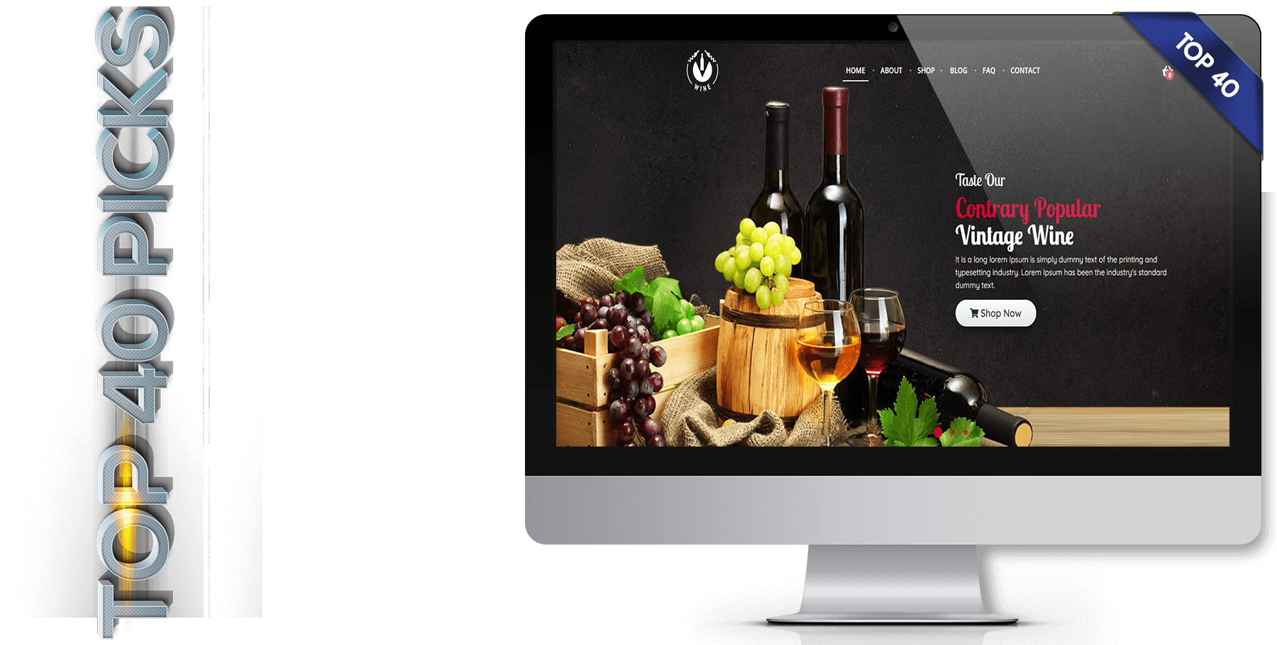 A website design called V Wine