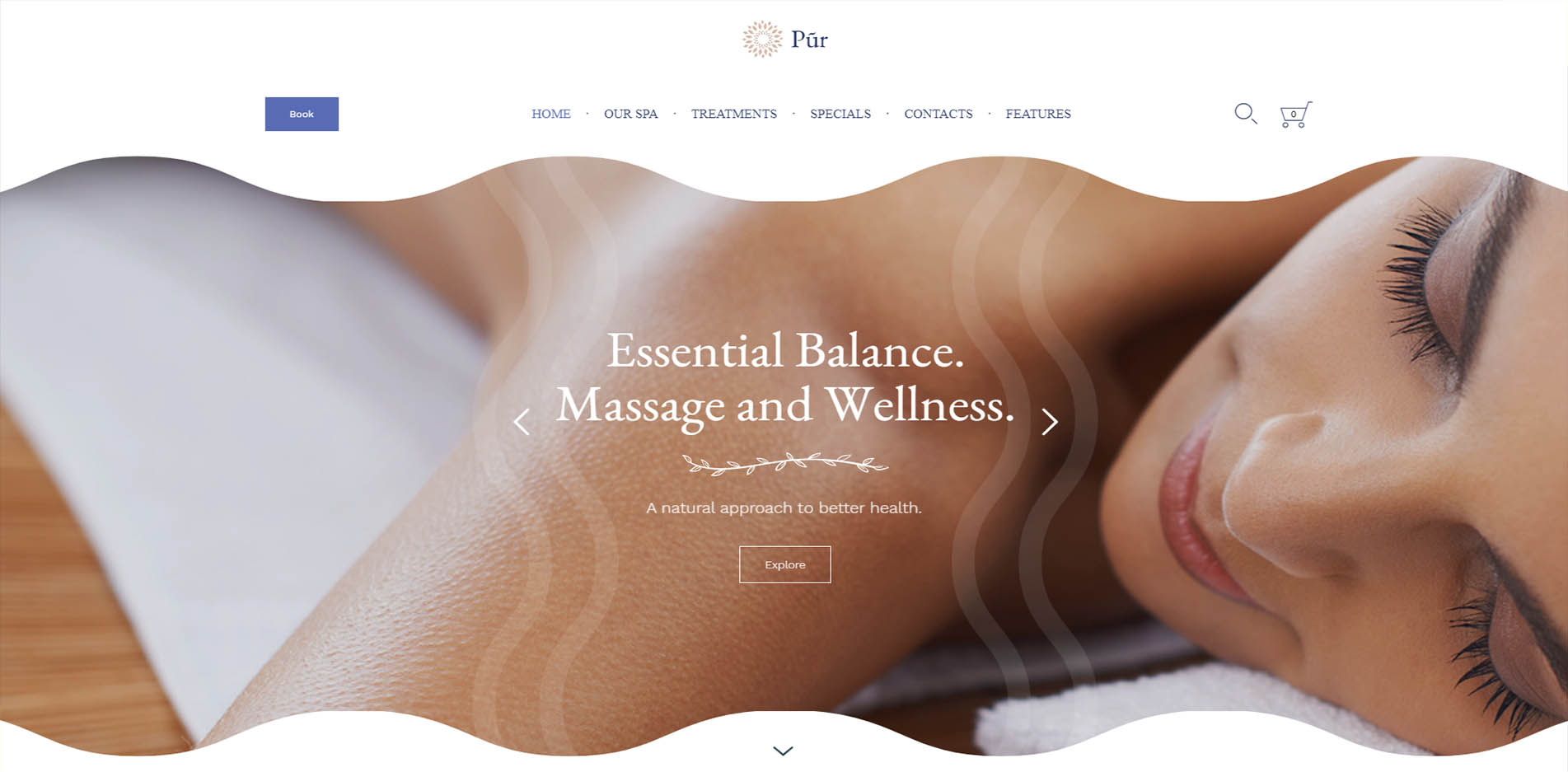 Spa Website Design PUR
