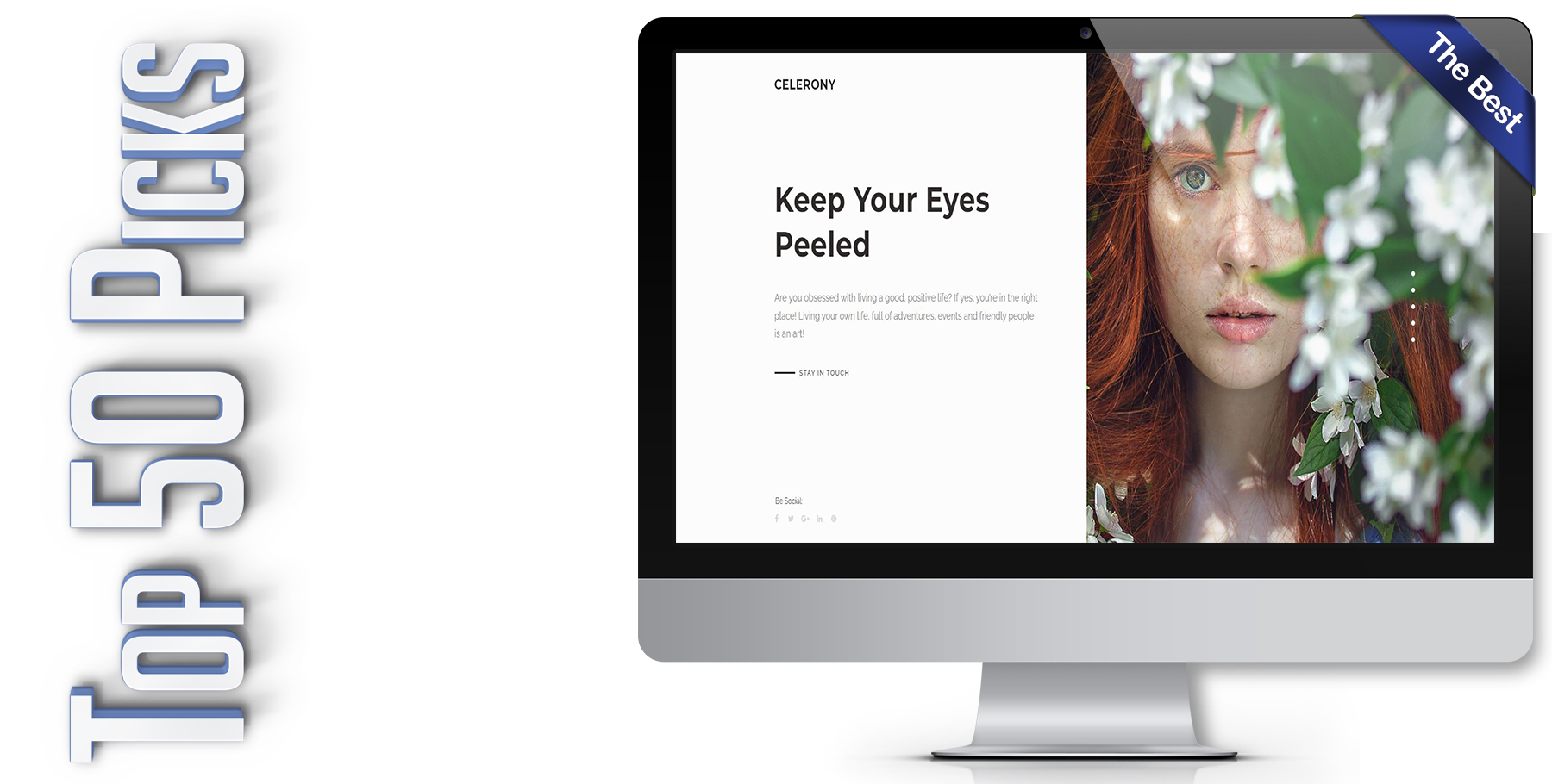 A website design in WordPress named CELERONY