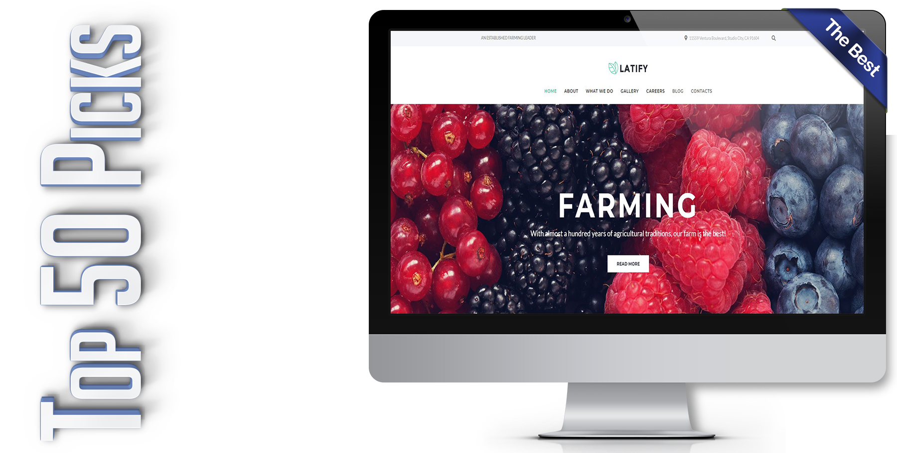 A website design in WordPress named LATIFY